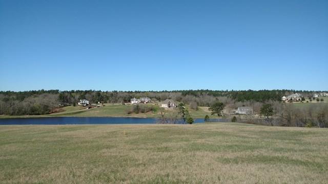 Lot 0 Herndon Dairy Road - Photo 1