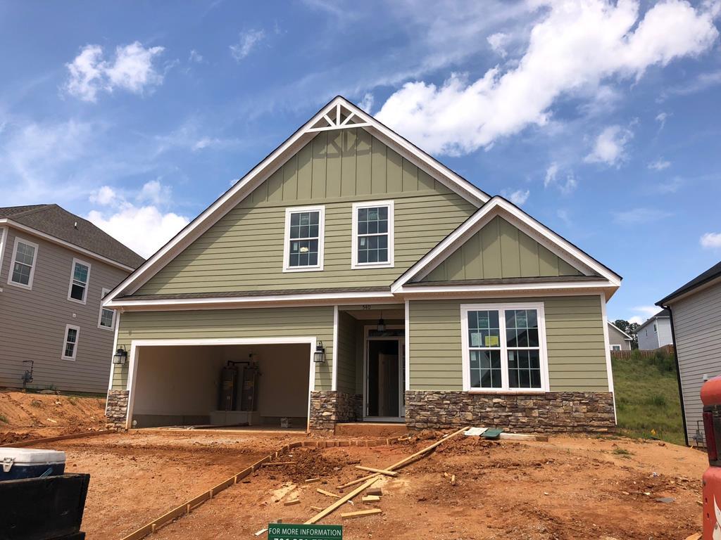 540 Bunchgrass Street - Photo 1