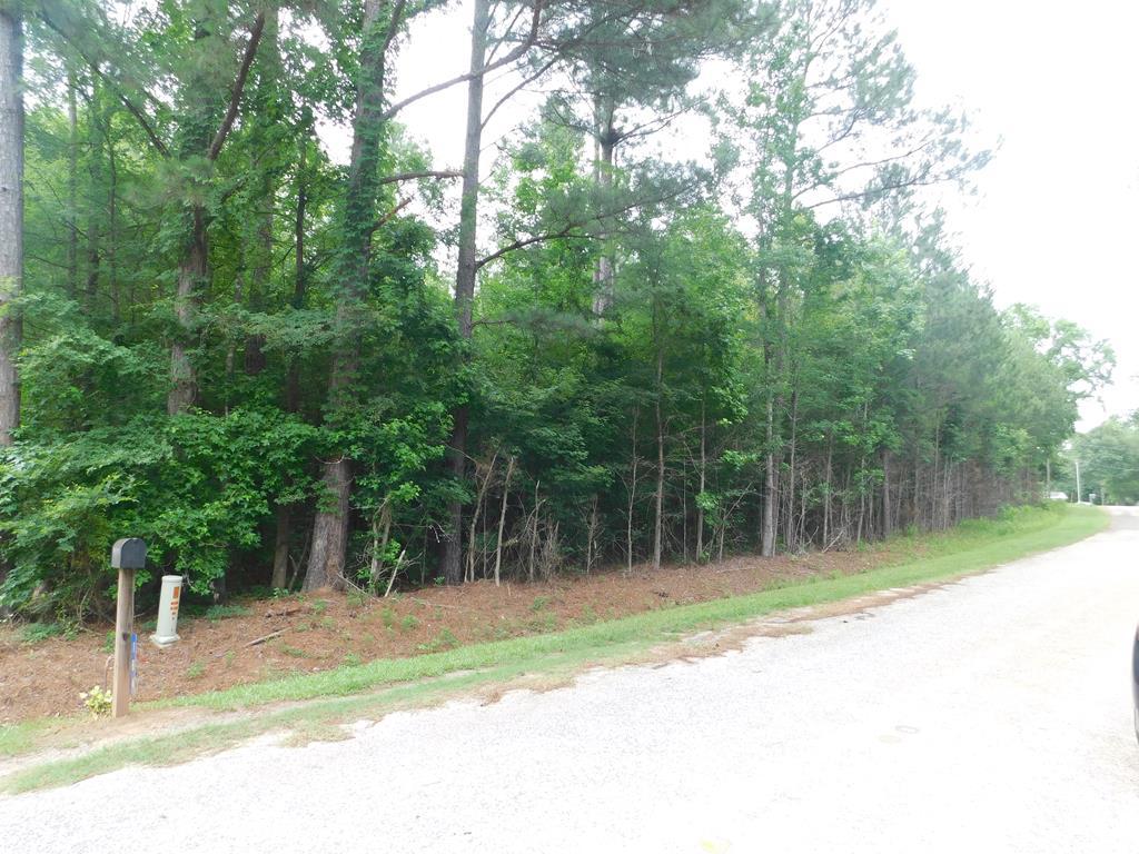 0 Brown Road - Photo 1