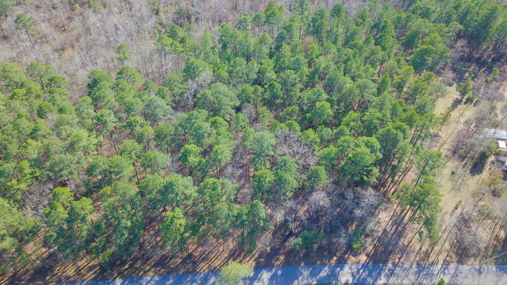 Lot 5 Bermuda Avenue - Photo 1