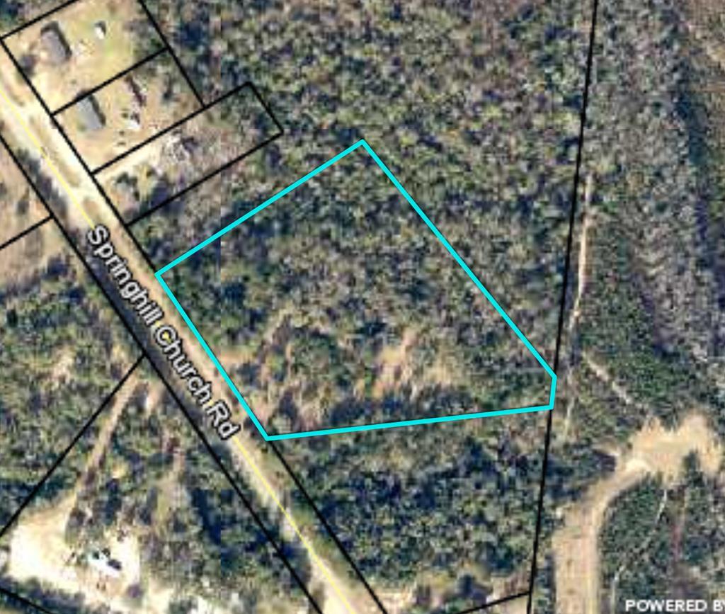 029-028 Spring Hill - Photo 1