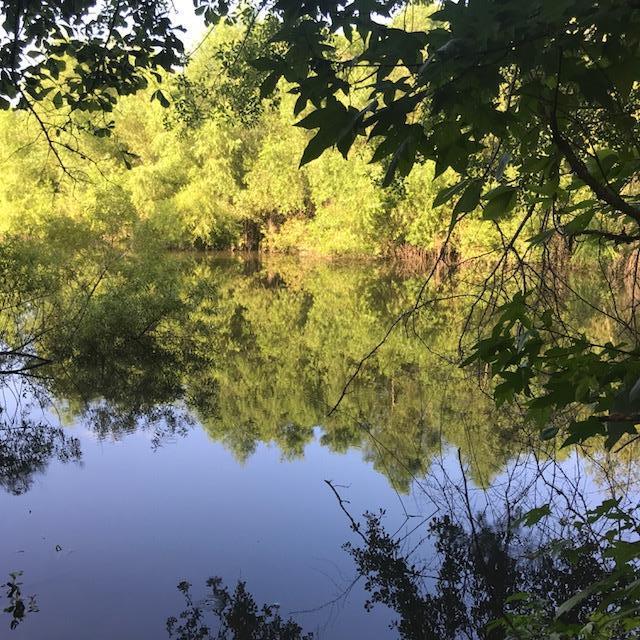 00 Amity Woodlawn Road - Photo 1