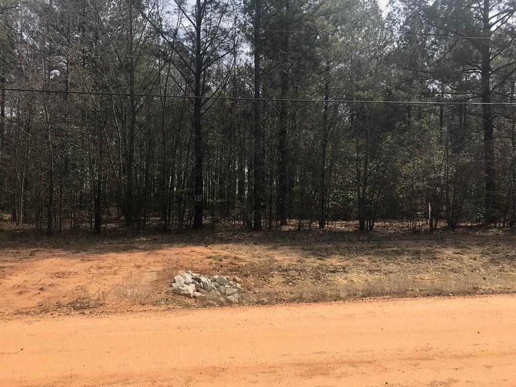 Lot 65 Stapleton Acres Drive - Photo 1