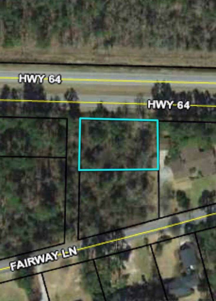 LOT 16 Highway 64 - Photo 1