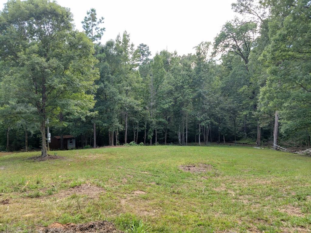1131 Smith Mill Road - Photo 1