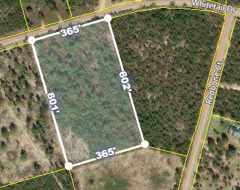 251 Whitetail Drive - Photo 1