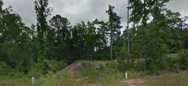 334 Bobwhite Trail - Photo 1