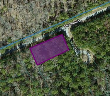 114 Moragne Lane - Photo 1