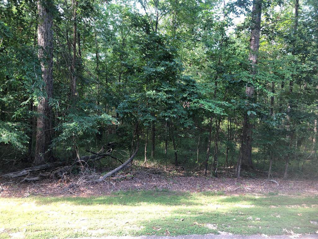 LOT 1 C Plantation Point - Photo 1