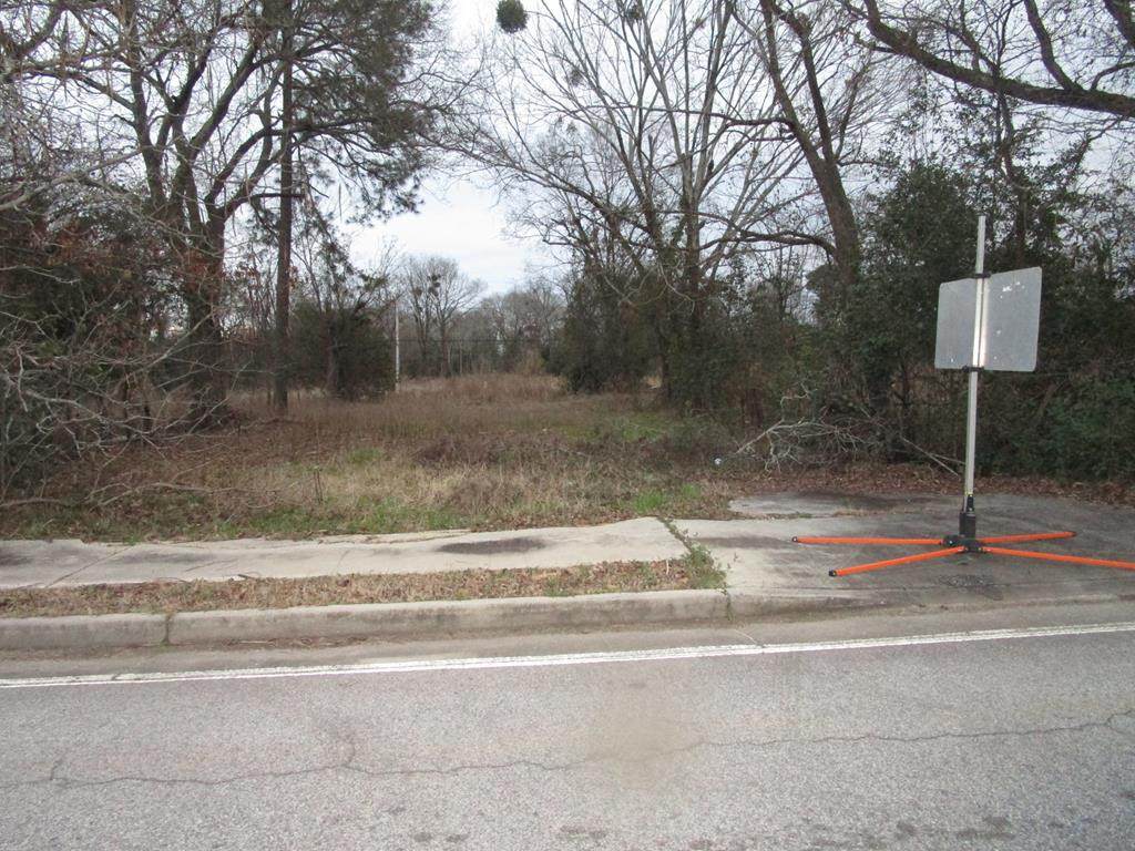 241 Dan Bowles Road - Photo 1