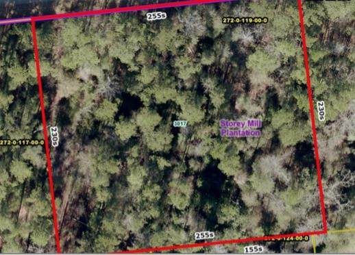 3017 Grey Fox Drive - Photo 1