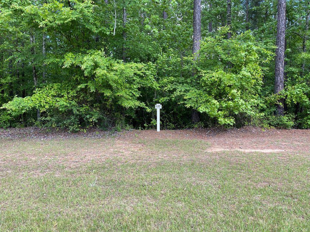 Lot N-17 Captain Johnsons Drive - Photo 1
