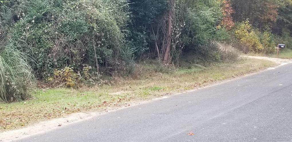 1 Pepper Branch Road - Photo 1