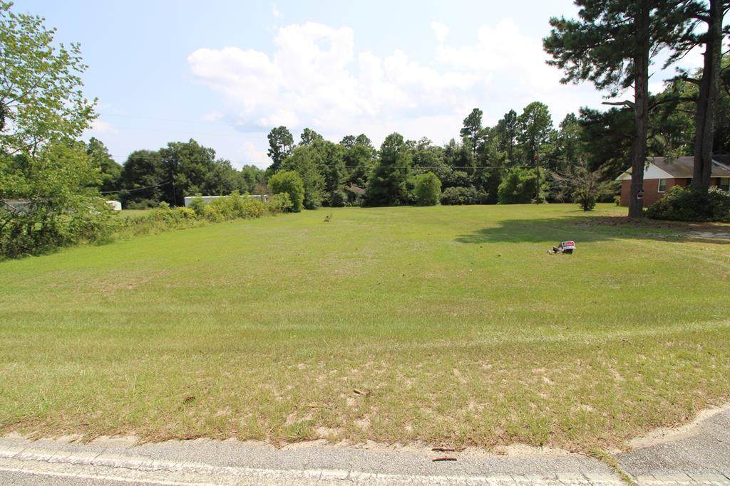 928 Hephzibah Mcbean Road - Photo 1