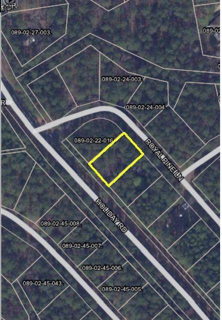 L15 B22 Royal Pine Lane - Photo 1