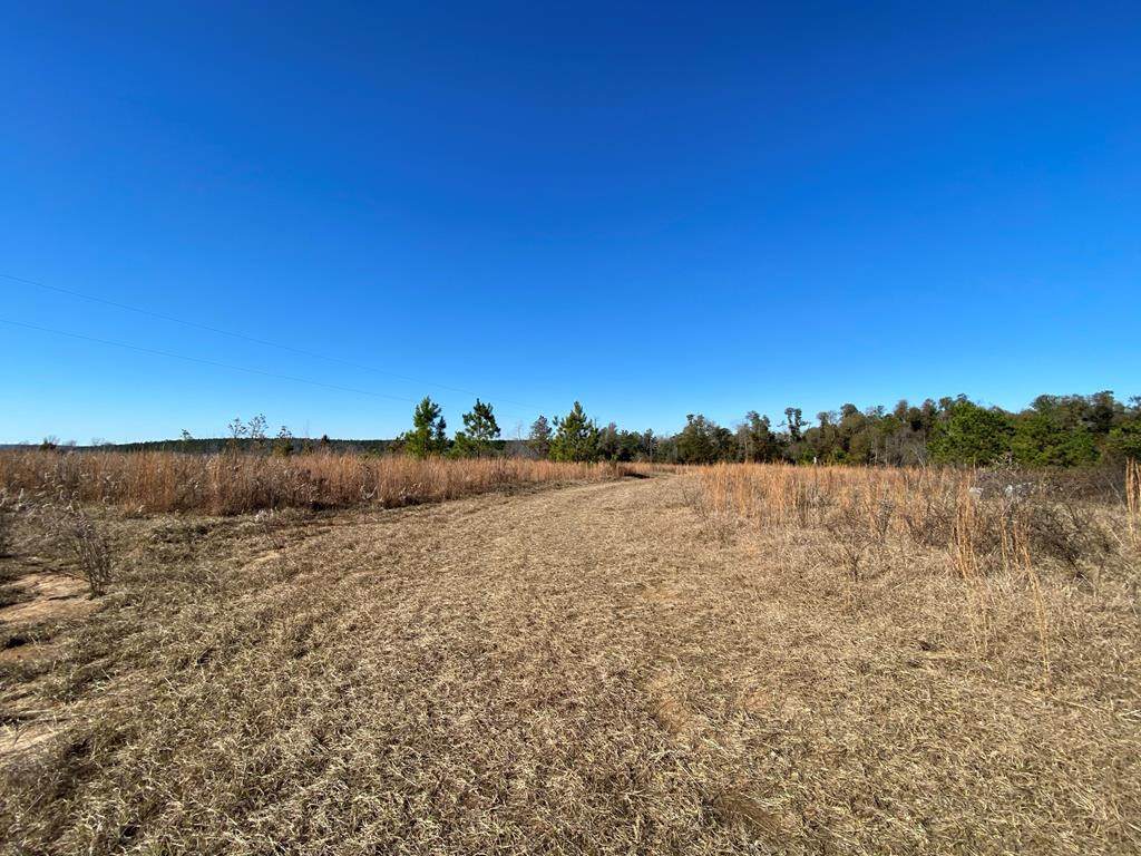 0 Story Mill Road - Photo 1
