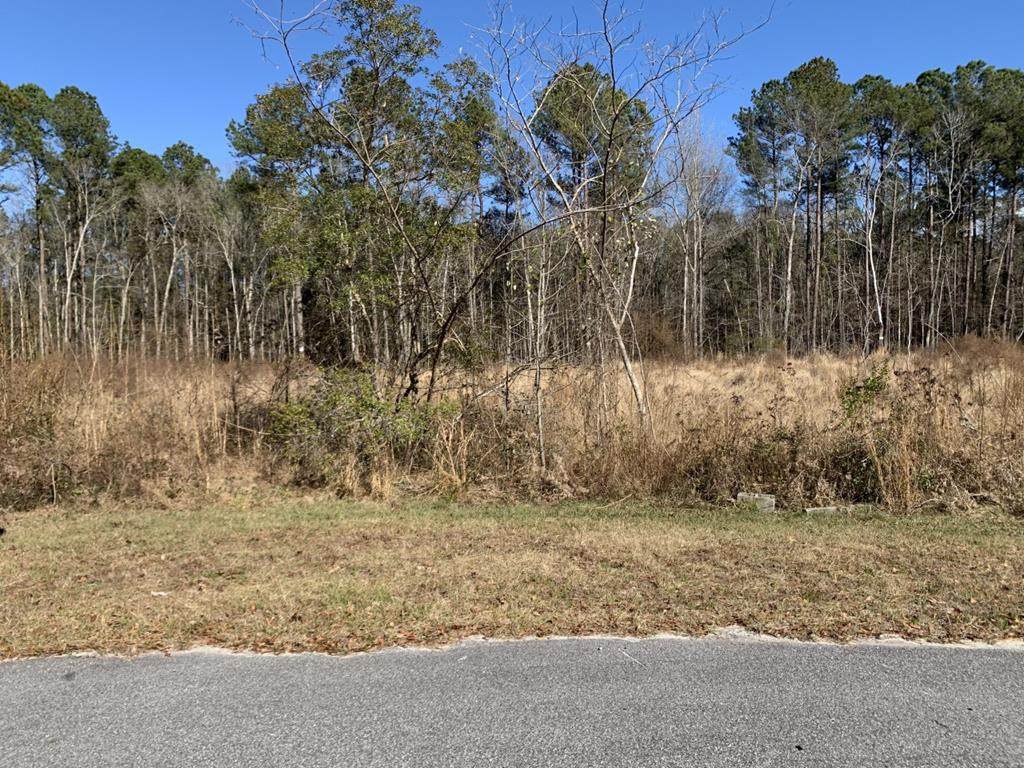 Lot 13 Greenhill Court - Photo 1
