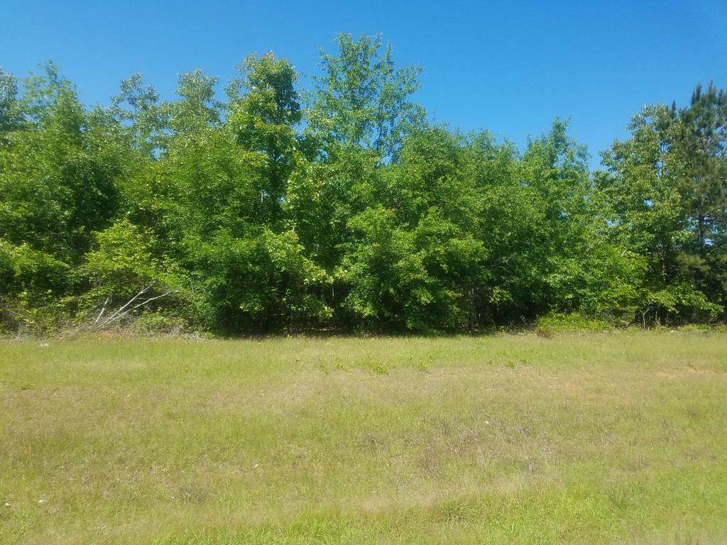 2774 Raborn Road - Photo 1