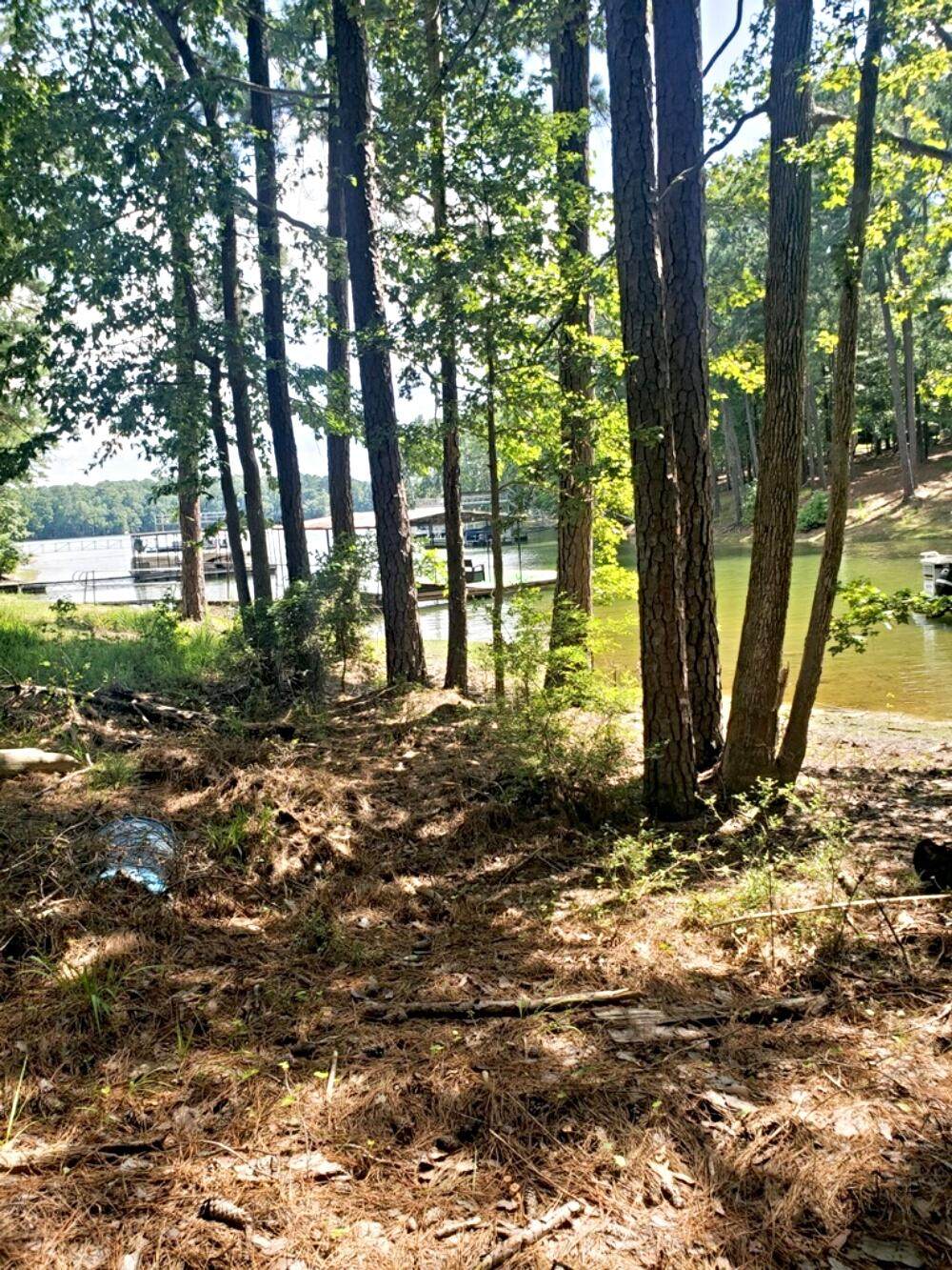 0 Delaware Drive - Photo 1