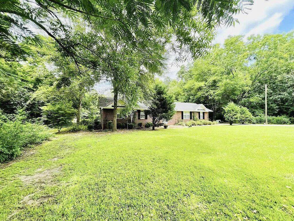 1096 Peggy Swint Lane - Photo 1