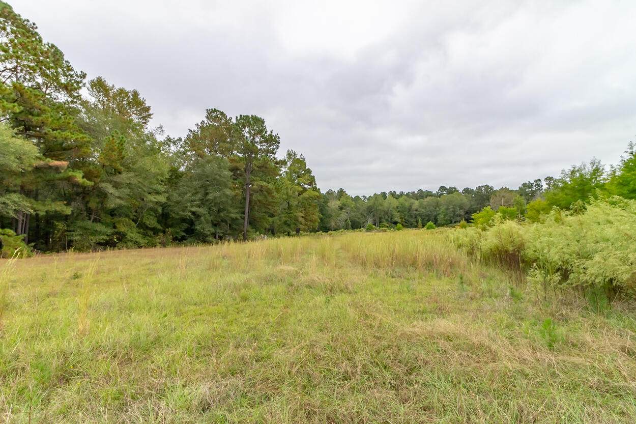00 Mt. Pleasant Road - Photo 1