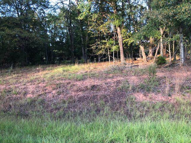 2540 Otts Lane - Photo 1