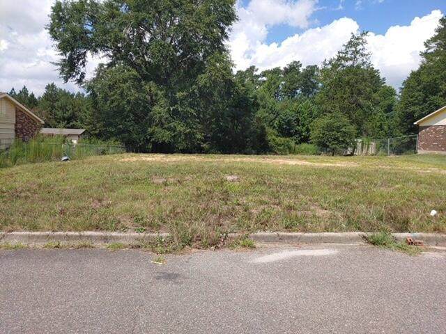 2507 Cairo Drive - Photo 1