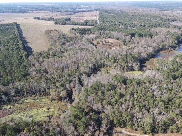 00 Ellison Bridge Road - Photo 1