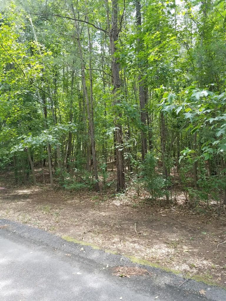 2 Heritage Trace - Photo 1