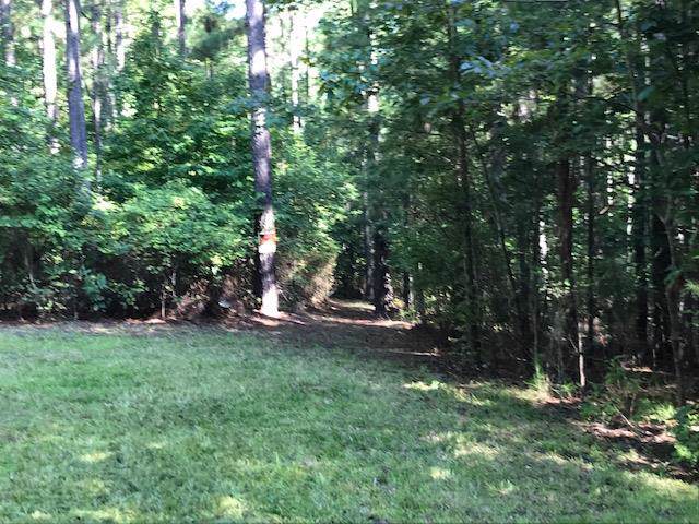 Lot 30 & Savannah Ridge Road - Photo 1