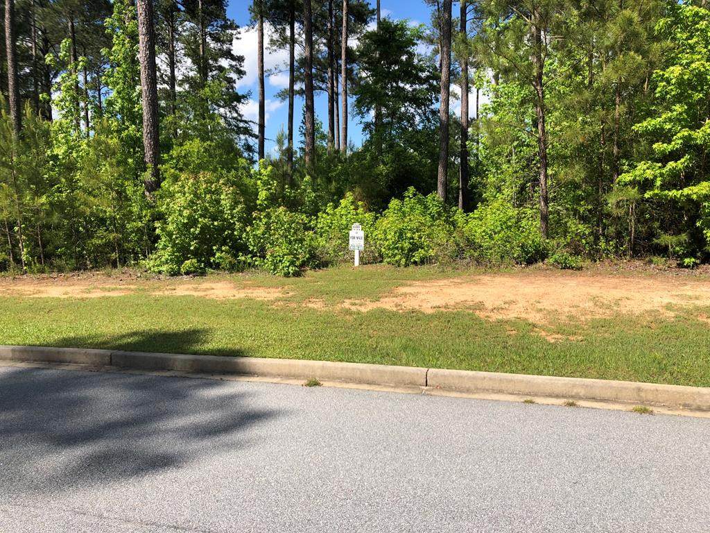 Lot N-23 Saluda Court - Photo 1