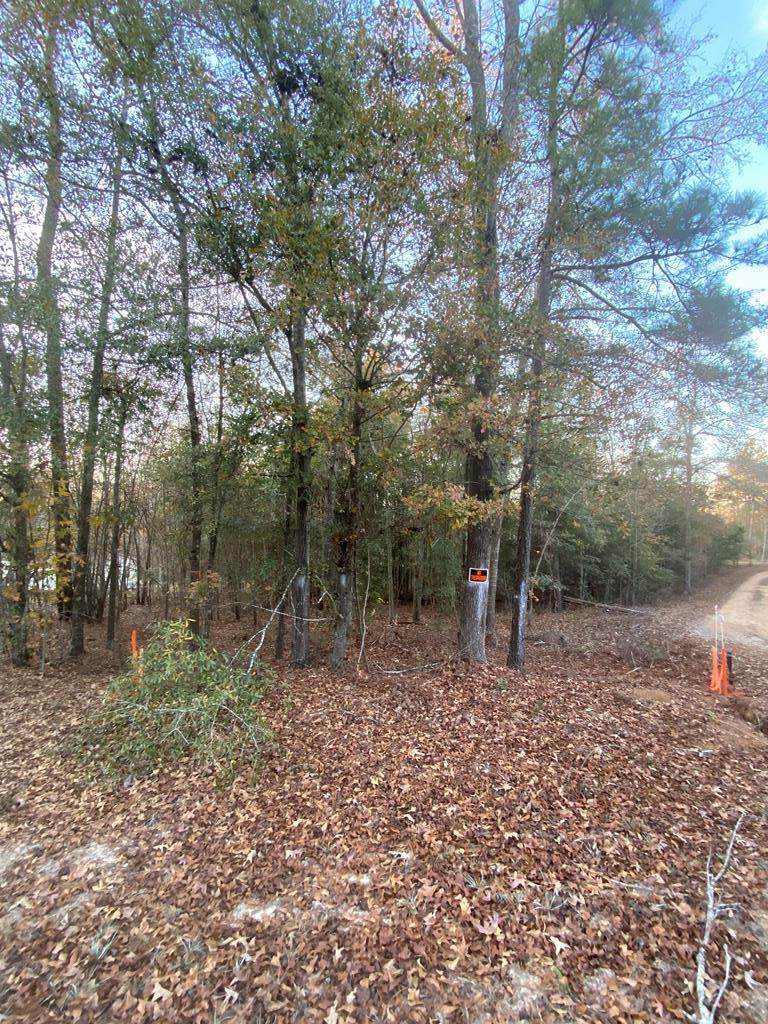2529 Quail Run Drive - Photo 1