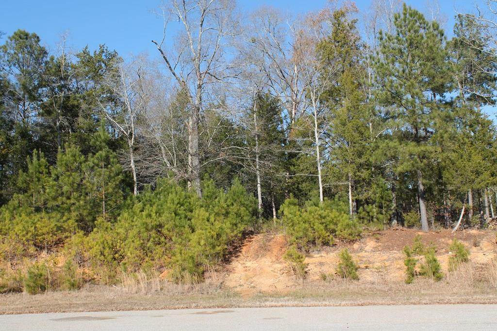 1055 Fleming Lake Court - Photo 1