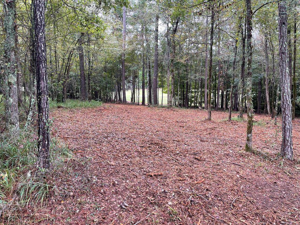 Lot N-65 Eutaw Spring Trail - Photo 1
