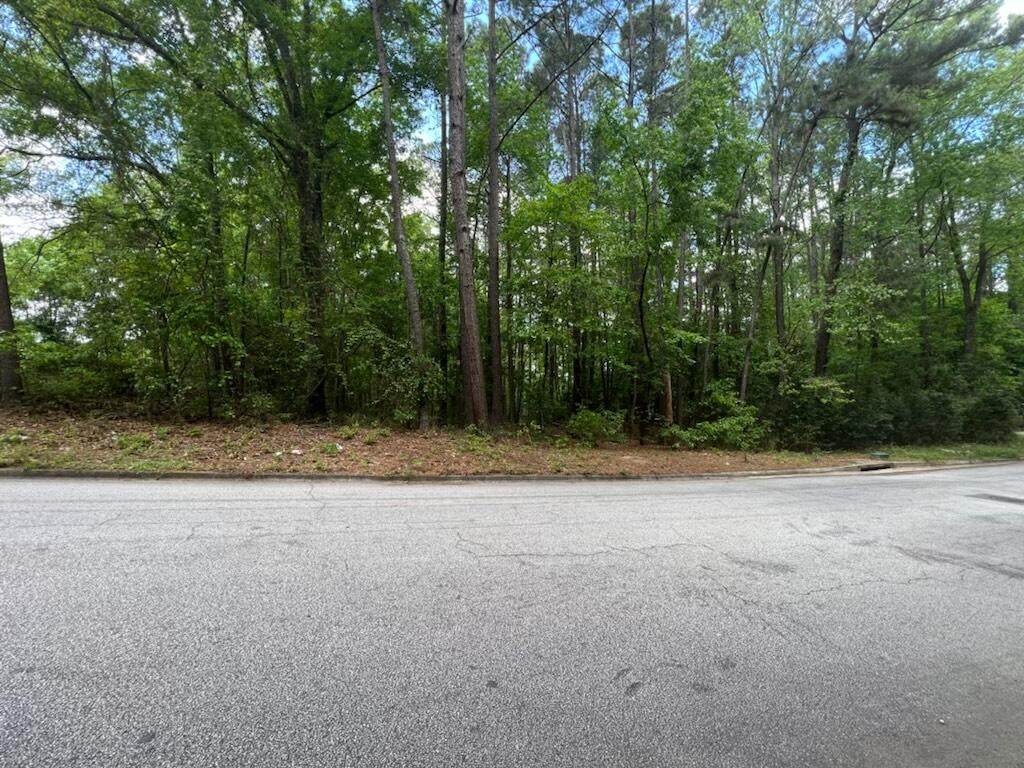 2439 Dublin Drive - Photo 1