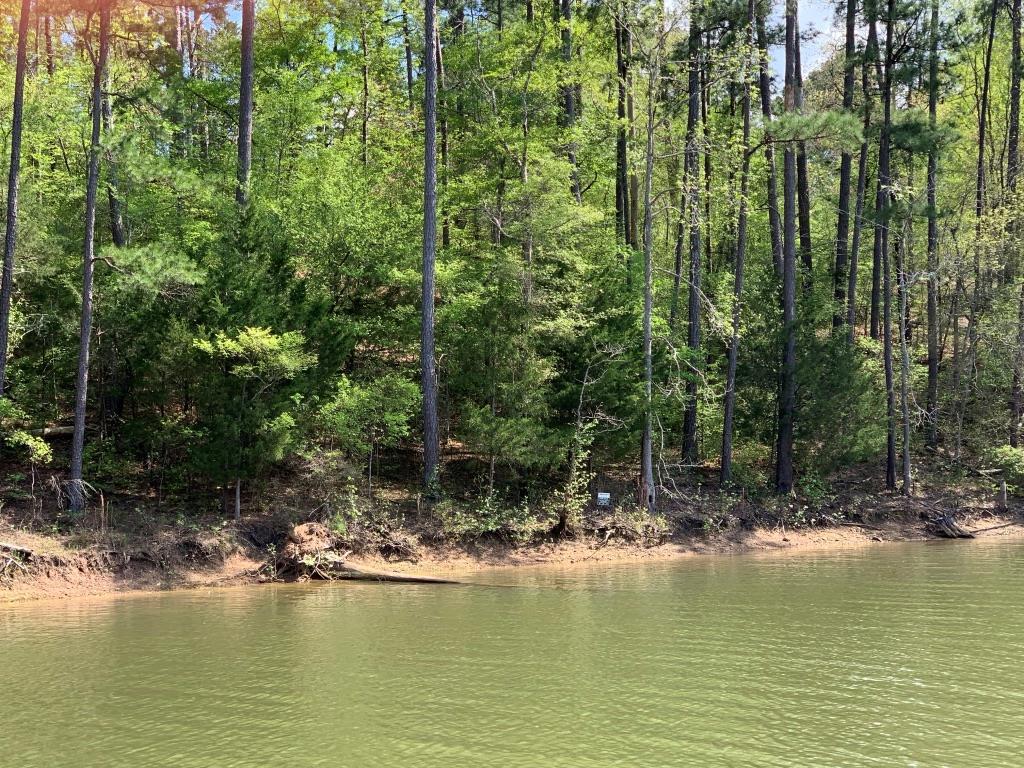 L13 B40 Waters Edge Drive - Photo 1