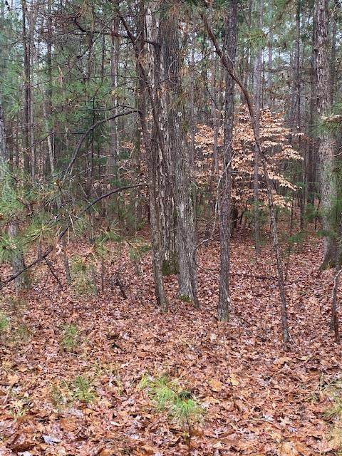 26-13 Candlewick Loop - Photo 1