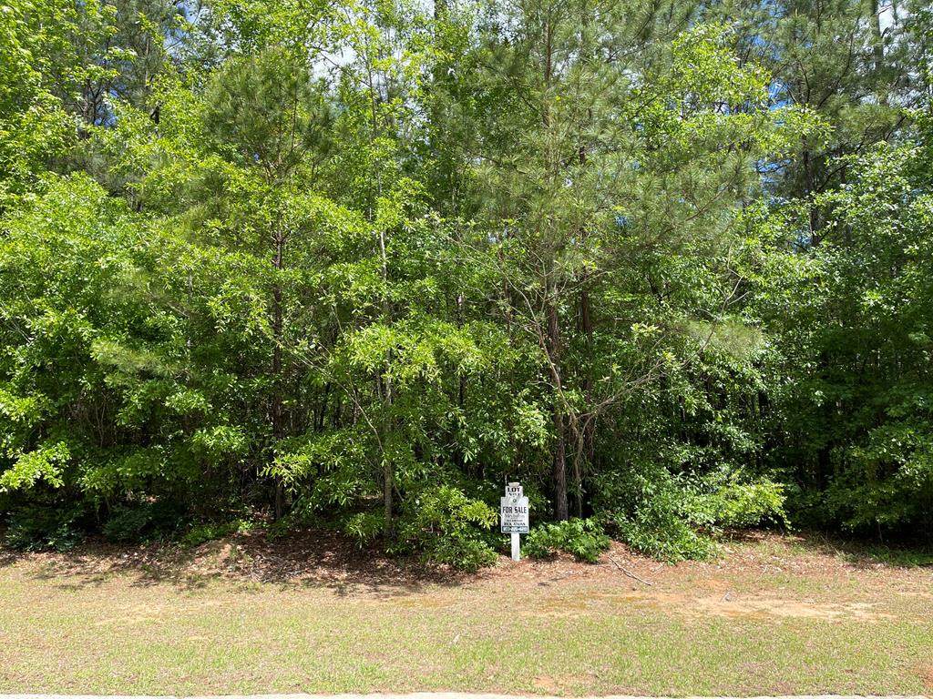 Lot N-13 Captain Johnsons Drive - Photo 1