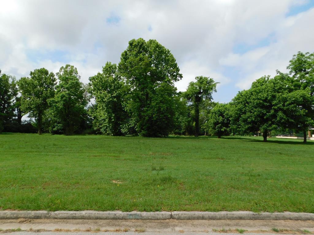 712 Rivernorth Drive - Photo 1