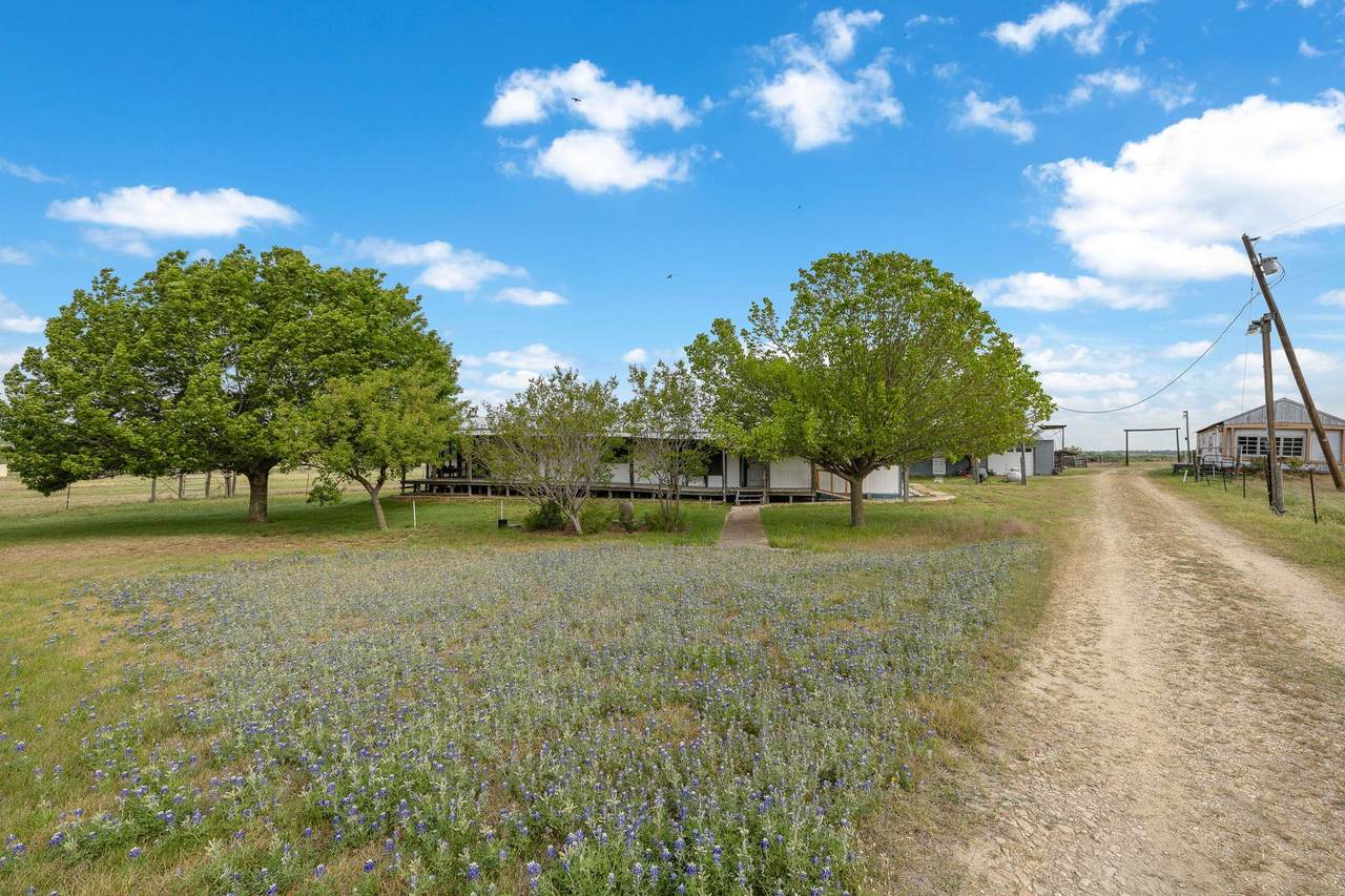 2351 County Road 487 - Photo 1