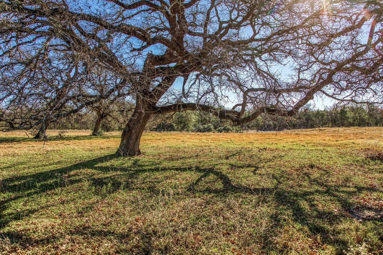 https://bt-photos.global.ssl.fastly.net/austin/1280_boomver_1_1094426-2.jpg