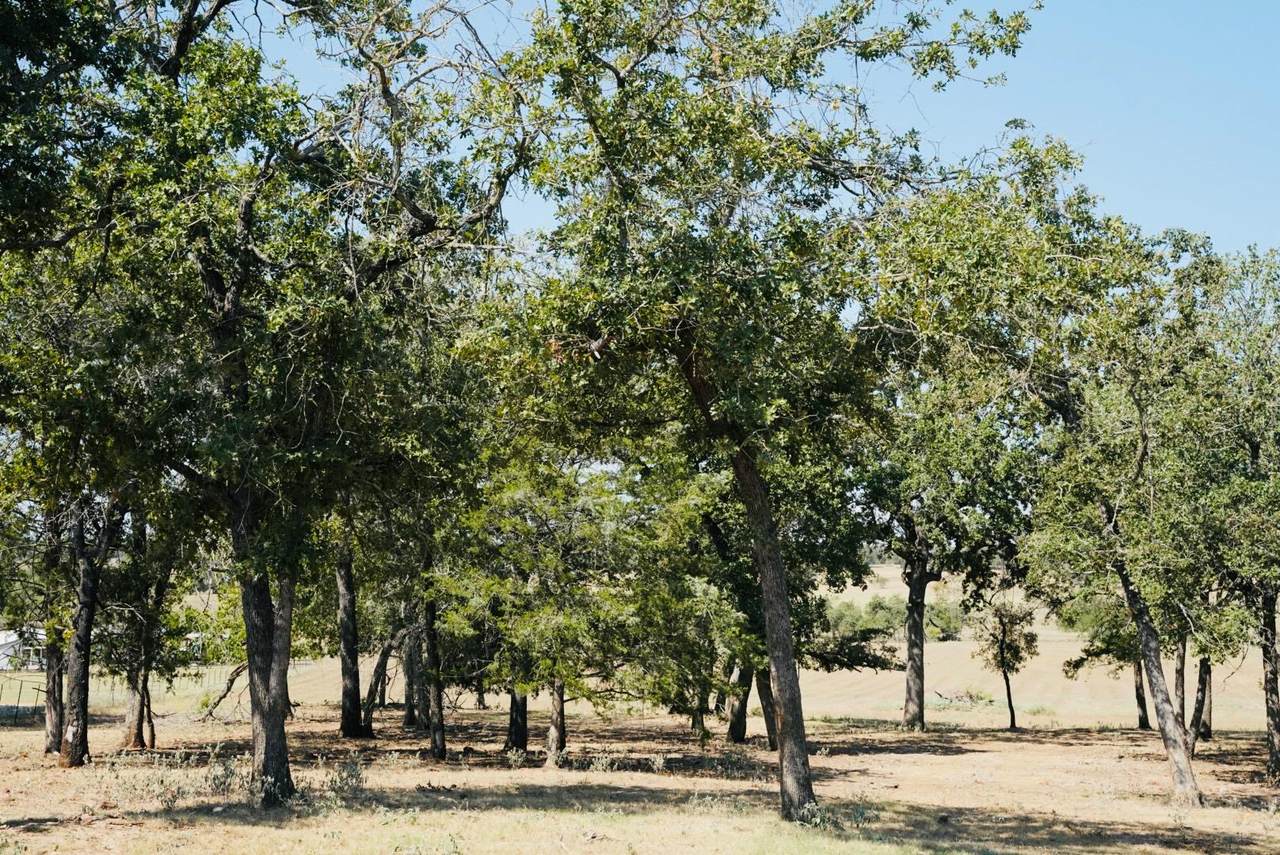 640 County Road 475 Rd - Photo 1