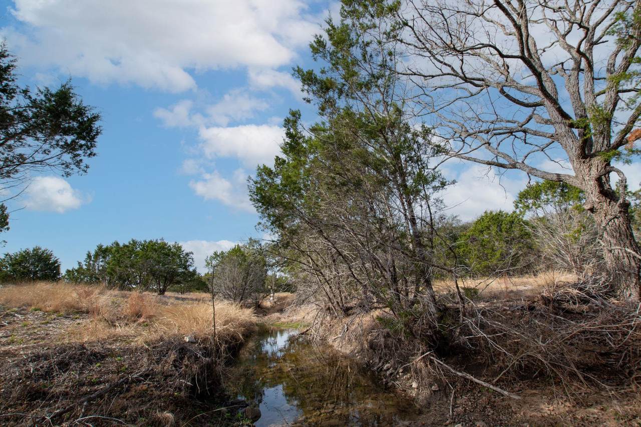 TBD Burnet Oaks Lot 20 Dr - Photo 1