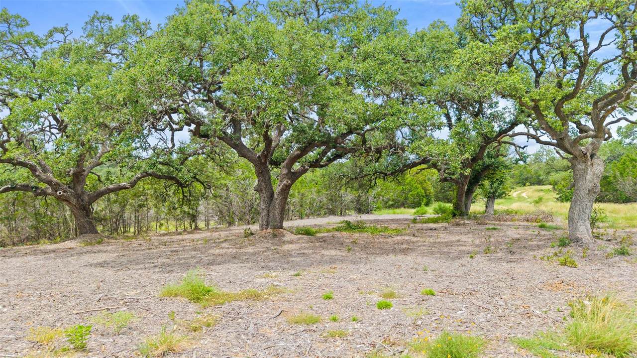 000 Oak Valley Ranch - Photo 1