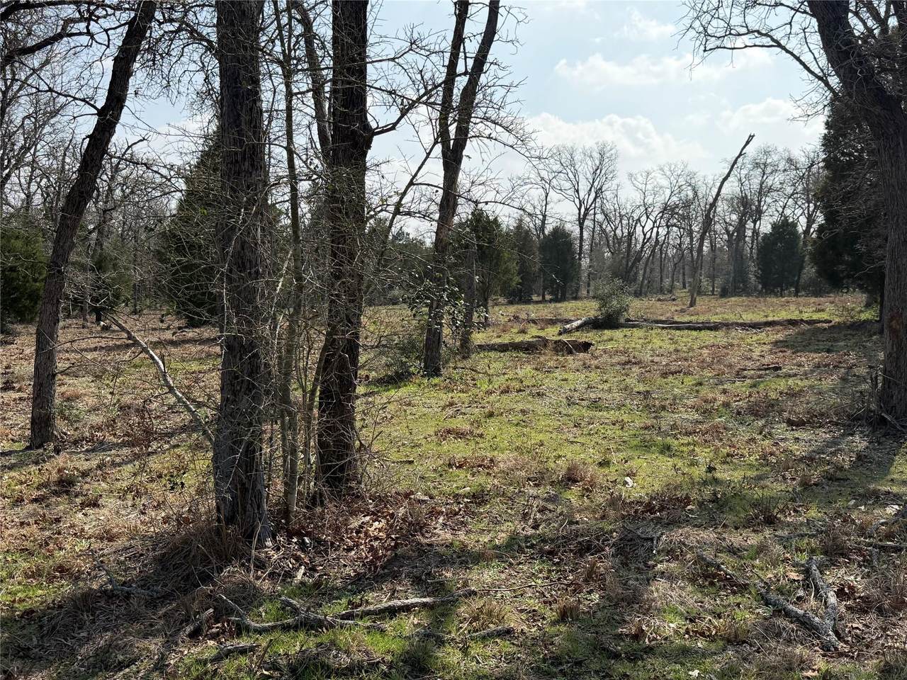 TBD N County Line Rd - Photo 1