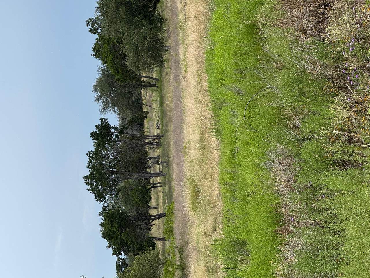 251 Pioneer Trl - Photo 1