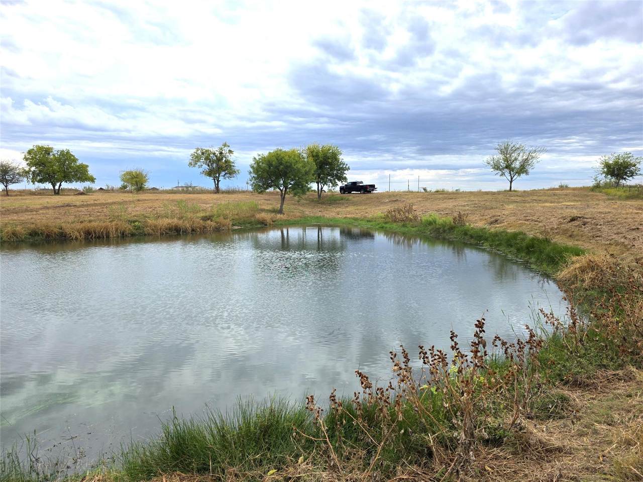 515 County Road 423 Rd - Photo 1