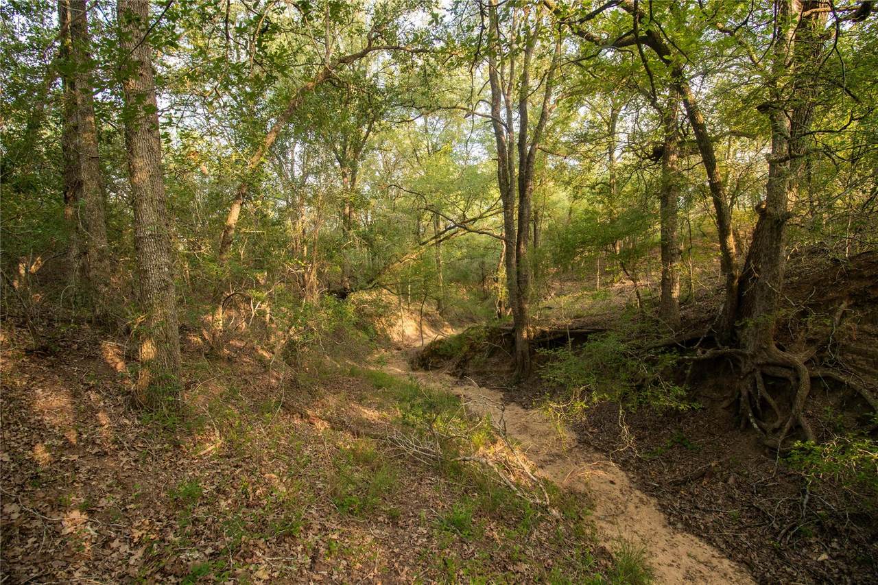 438 Firefly Field Ln - Photo 1