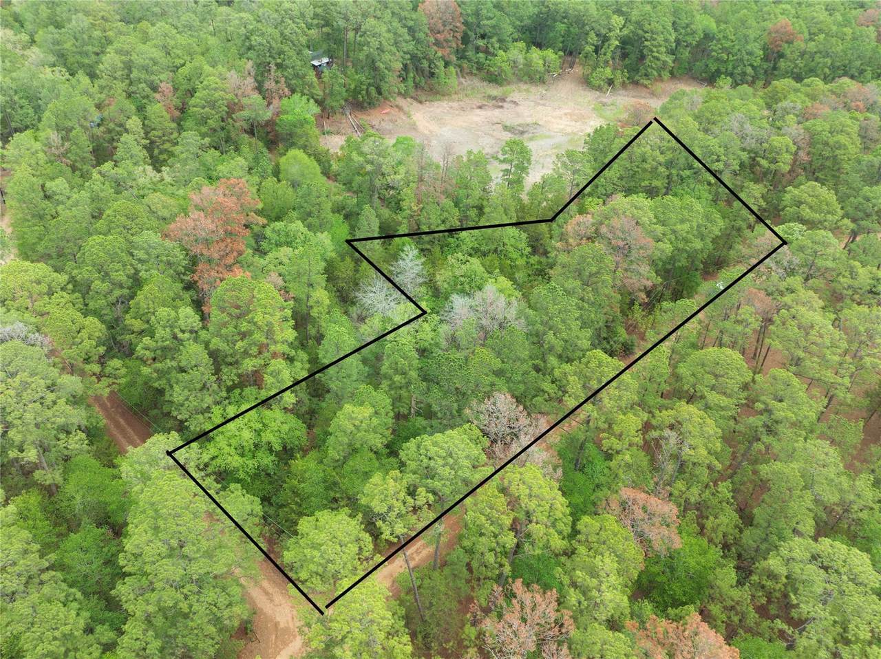 TBD Red Fox Rd - Photo 1