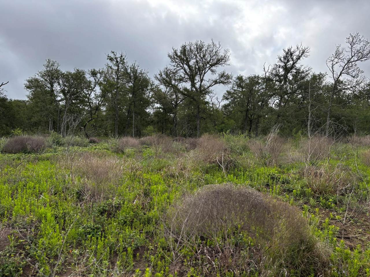 683 County Road 467 - Photo 1
